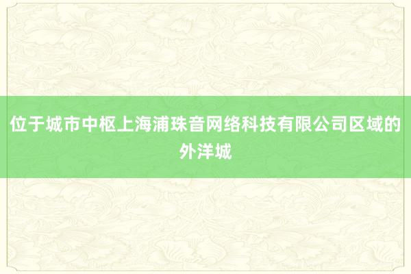位于城市中枢上海浦珠音网络科技有限公司区域的外洋城