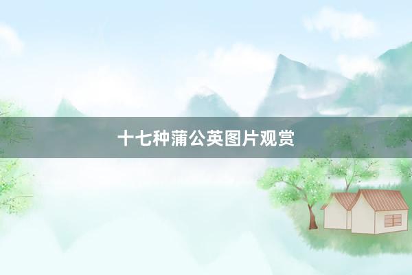 十七种蒲公英图片观赏
