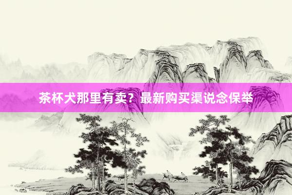 茶杯犬那里有卖？最新购买渠说念保举