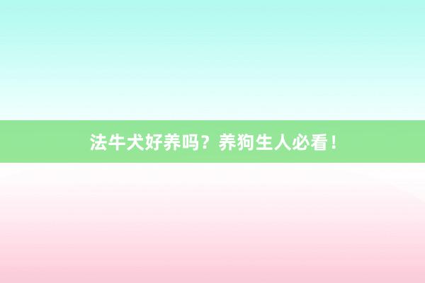 法牛犬好养吗？养狗生人必看！